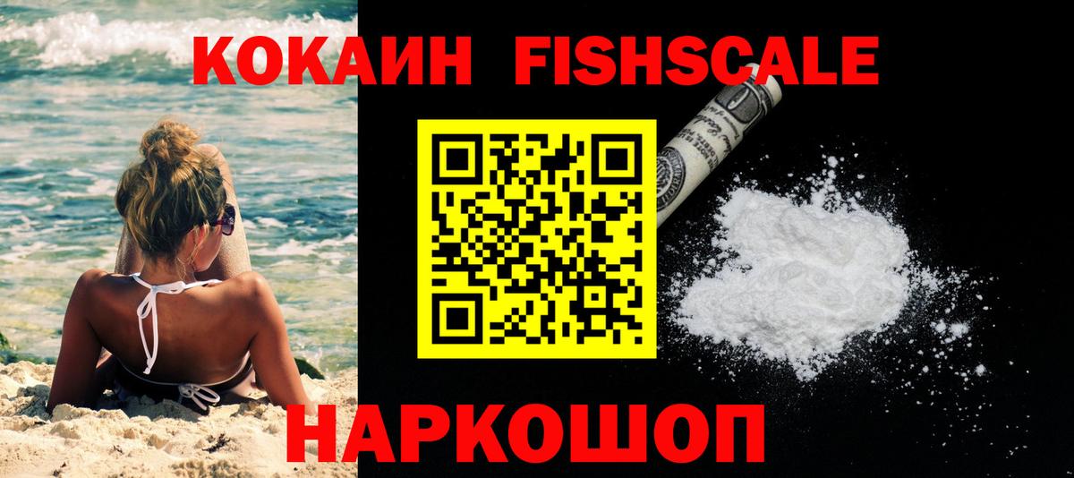 Cocaine Fish Scale  Вход с VPN  Полевской  COCAIN  Cocaine Columbia 