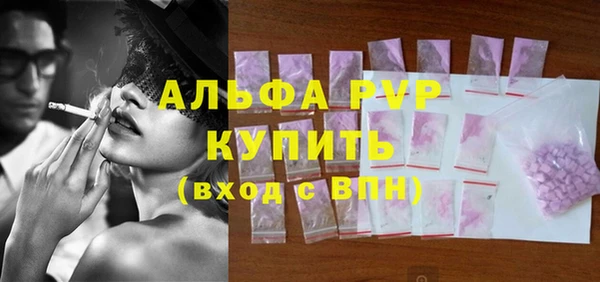 индика Кулебаки