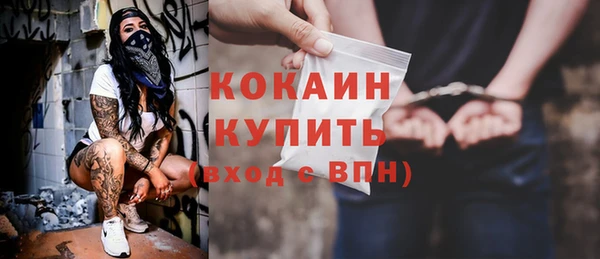 индика Кулебаки