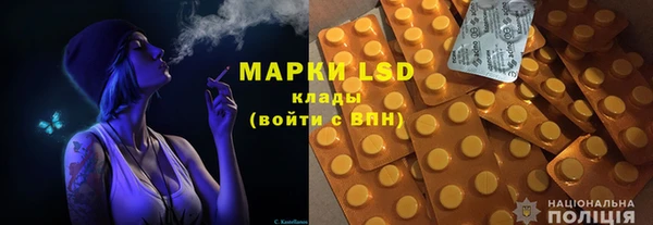 индика Кулебаки