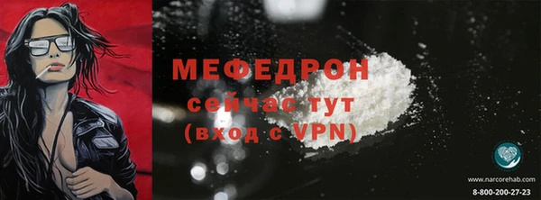 индика Кулебаки