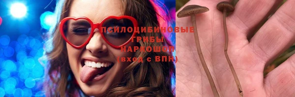 индика Кулебаки
