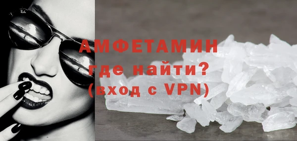 индика Кулебаки