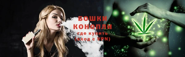ПСИЛОЦИБИНОВЫЕ ГРИБЫ Кукмор