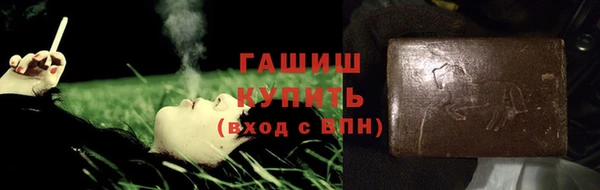 индика Кулебаки