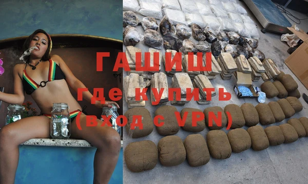 индика Кулебаки