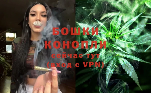 индика Кулебаки