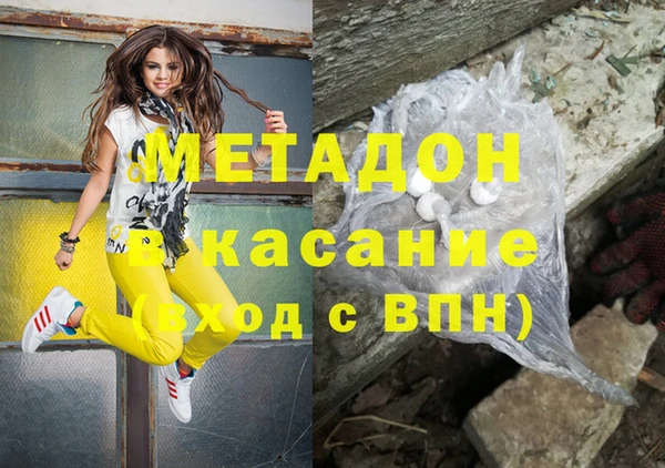 индика Кулебаки