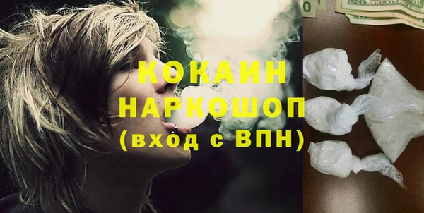 индика Кулебаки