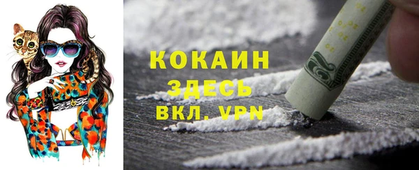 ПСИЛОЦИБИНОВЫЕ ГРИБЫ Кукмор