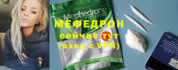 индика Кулебаки