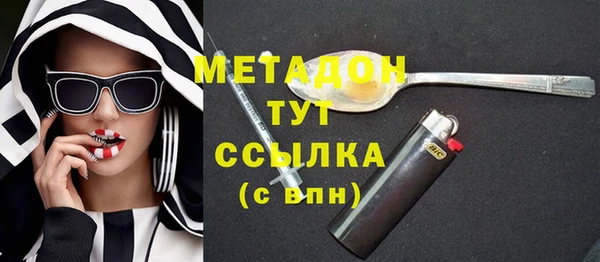 индика Кулебаки