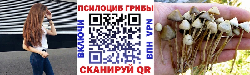 как найти   Полевской  Псилоцибиновые грибы мицелий 