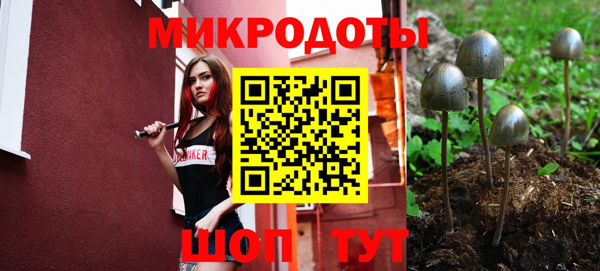 Галлюциногенные грибы мицелий  Вход с VPN  где купить   Полевской 