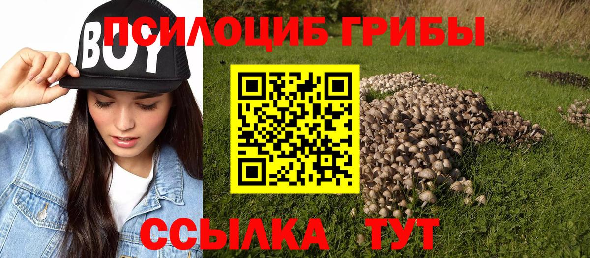 Псилоцибиновые грибы Magic Shrooms  Вход с VPN  Полевской  Псилоцибиновые грибы MAGIC MUSHROOMS 